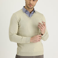 Dark Beige V-Neck Regular Fit Knitwear Sweater