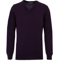 Plum V-Neck Regular Fit Knitted Sweater