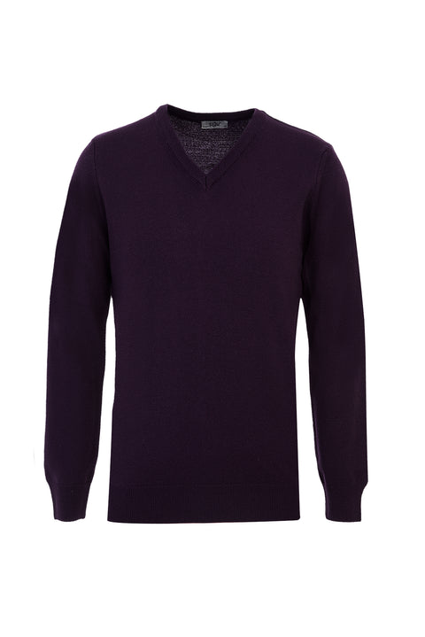 Plum V-Neck Regular Fit Knitted Sweater
