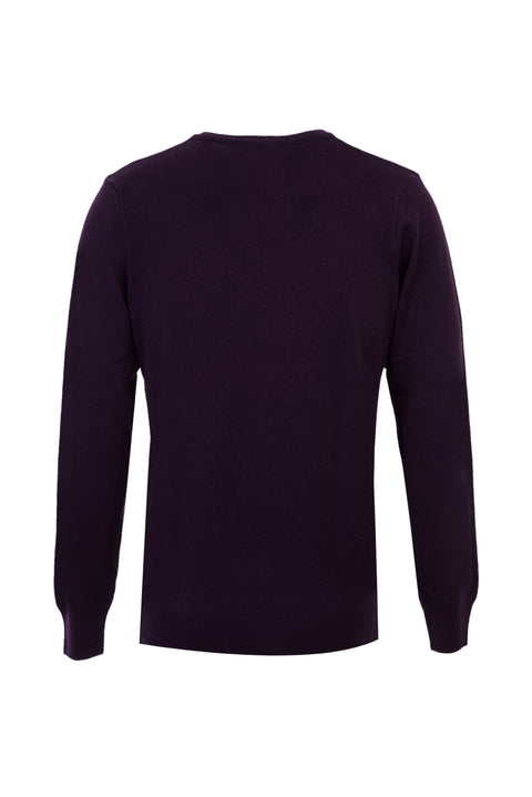 Plum V-Neck Regular Fit Knitted Sweater