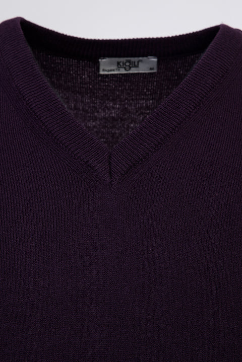 Plum V-Neck Regular Fit Knitted Sweater