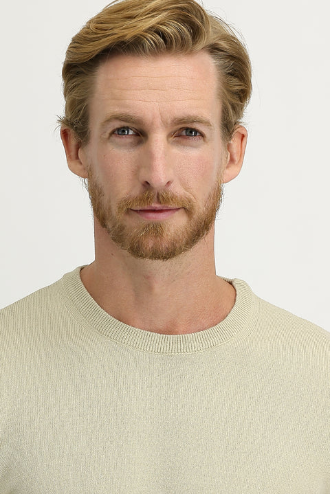 Dark Beige Crew Neck Regular Fit Knitted Sweater