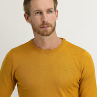 Saffron Crew Neck Regular Fit Knitted Sweater