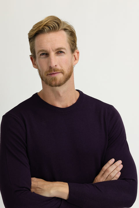 Plum-colored Crew Neck Regular Fit Knitted Sweater