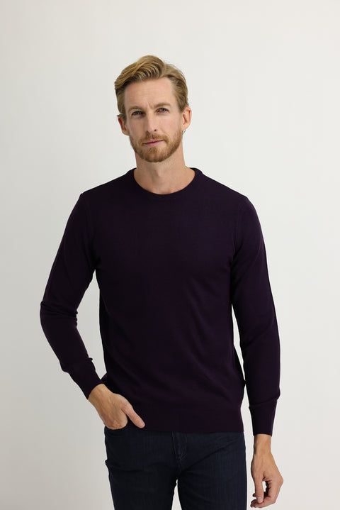 Plum-colored Crew Neck Regular Fit Knitted Sweater