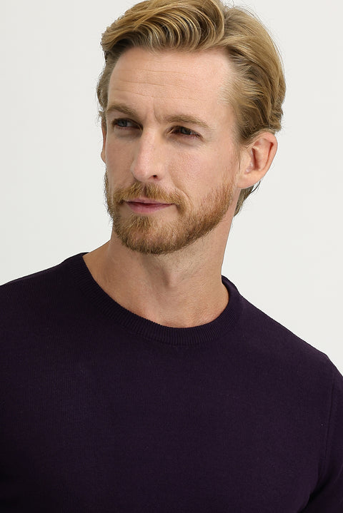 Plum-colored Crew Neck Regular Fit Knitted Sweater