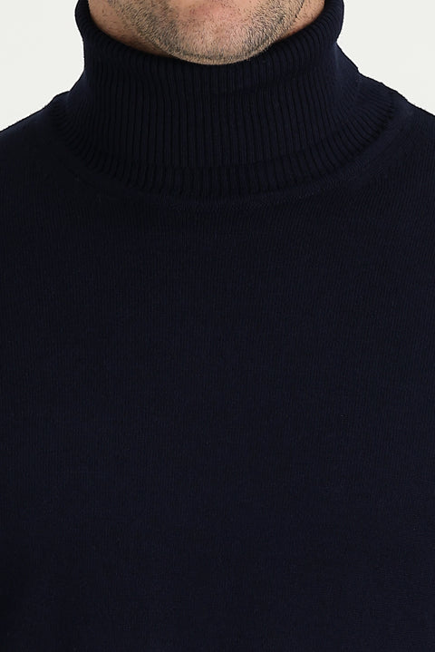 Dark Navy Turtleneck Regular Fit Knitted Sweater
