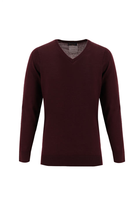 Dark Burgundy V-Neck Regular Fit Wool Knit Sweater