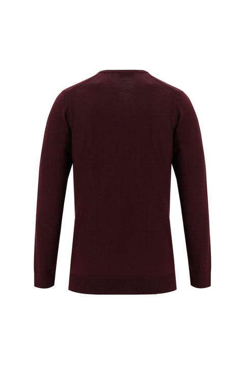 Dark Burgundy V-Neck Regular Fit Wool Knit Sweater