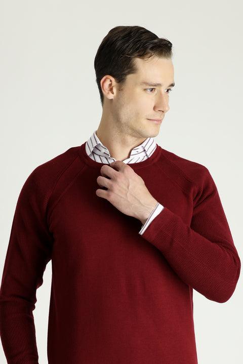 Light Burgundy Crew Neck Slim Fit Patterned Cotton Knit Sweater