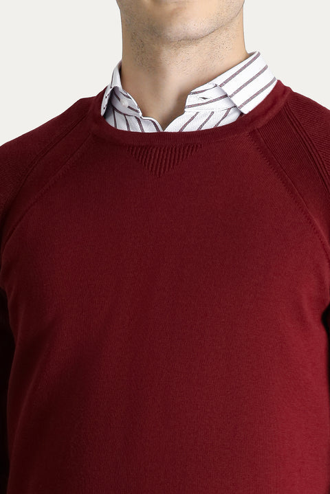 Light Burgundy Crew Neck Slim Fit Patterned Cotton Knit Sweater