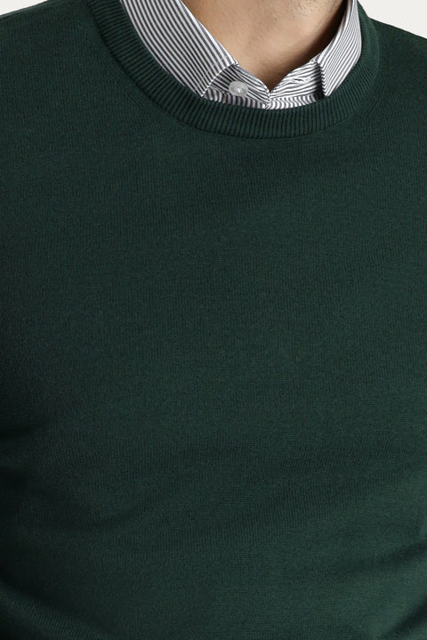 Forest Green Crew Neck Regular Fit Cotton Knit Sweater