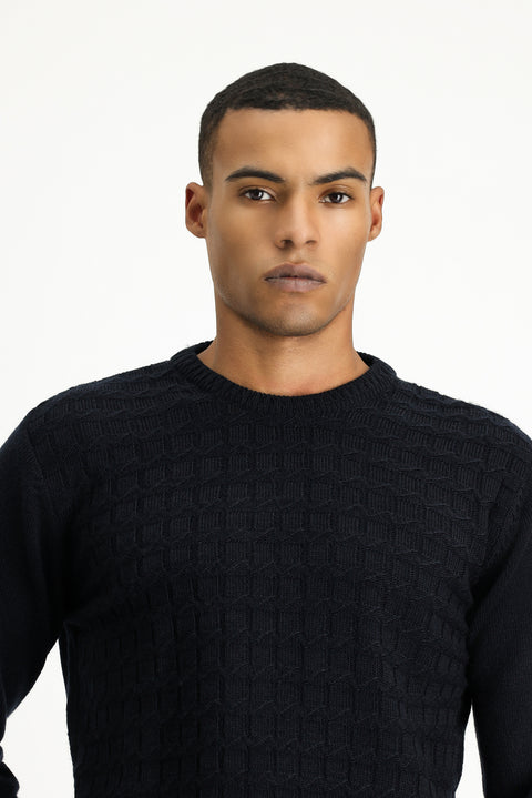 Dark Navy Crew Neck Regular Fit Patterned Knit Sweater