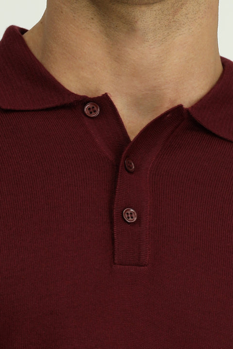 Dark Burgundy Polo Collar Button-Down Regular Fit Warm Wool Knit Sweater