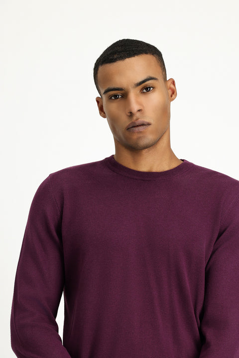 Dark Burgundy Crew Neck Regular Fit Cotton Knit Sweater