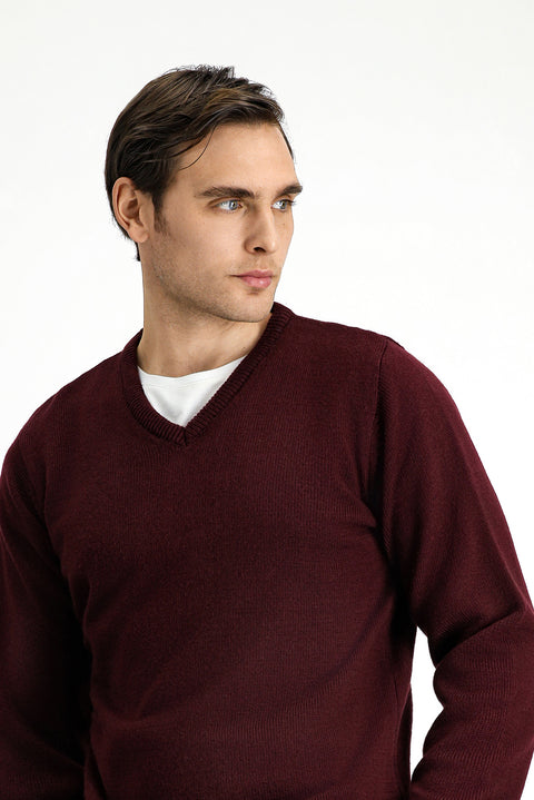 Dark Claret Red V-Neck Regular Fit Knitwear Sweater
