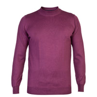 Red Half Turtleneck Regular Fit Wool Knit Sweater