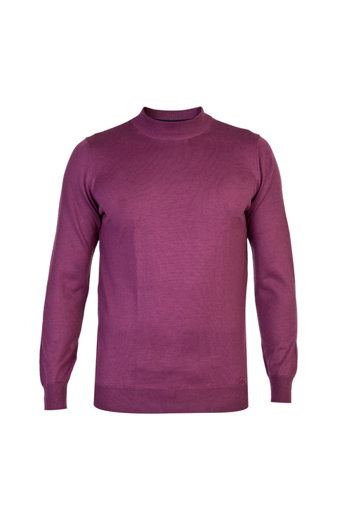 Red Half Turtleneck Regular Fit Wool Knit Sweater