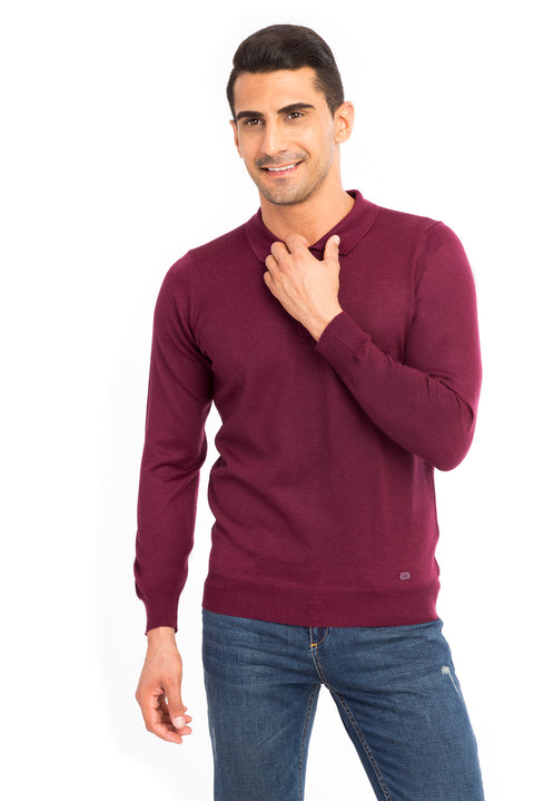 Red Polo Collar Regular Fit Wool Knit Sweater