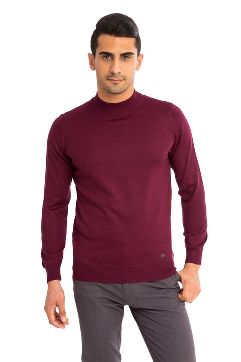 Red Half Turtleneck Regular Fit Wool Knit Sweater