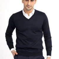 Navy Blue V-Neck Regular Fit Wool Knit Sweater