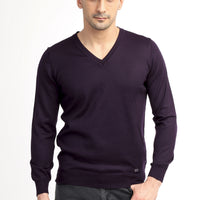 Purple V-Neck Regular Fit Wool Knit Sweater