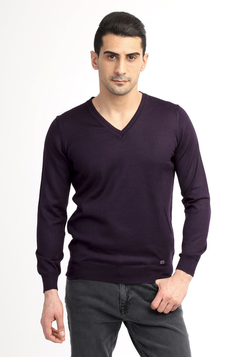 Purple V-Neck Regular Fit Wool Knit Sweater