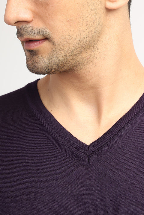 Purple V-Neck Regular Fit Wool Knit Sweater