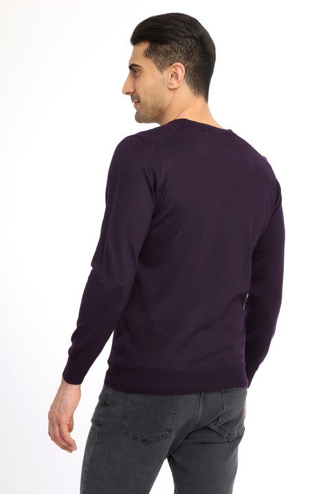 Purple V-Neck Regular Fit Wool Knit Sweater