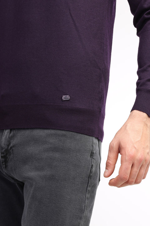 Purple V-Neck Regular Fit Wool Knit Sweater