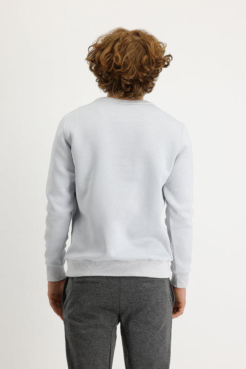 Medium Grey Crew Neck Fleece Lined Printed Cotton Sweatshirt