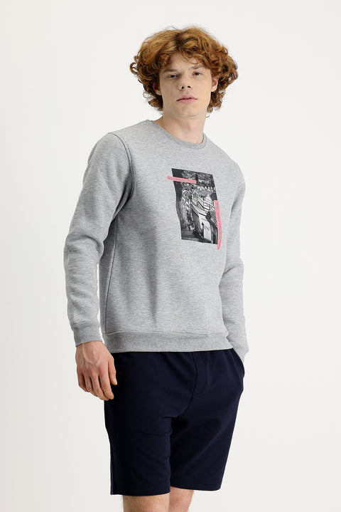 Light Grey Melange Crew Neck Fleece Lined Printed Cotton Sweatshirt
