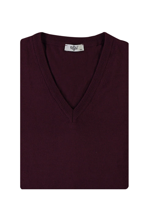 Dark Burgundy Plus Size V-Neck Knit Sweater