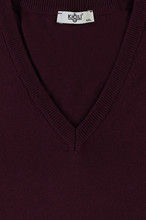 Dark Burgundy Plus Size V-Neck Knit Sweater