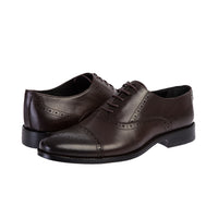 Dark Brown Classic Shoe with Studded Toe