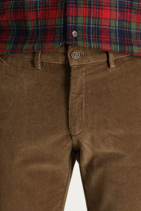 Light Brown Regular Fit Standard Cut Lycra Velvet Trousers