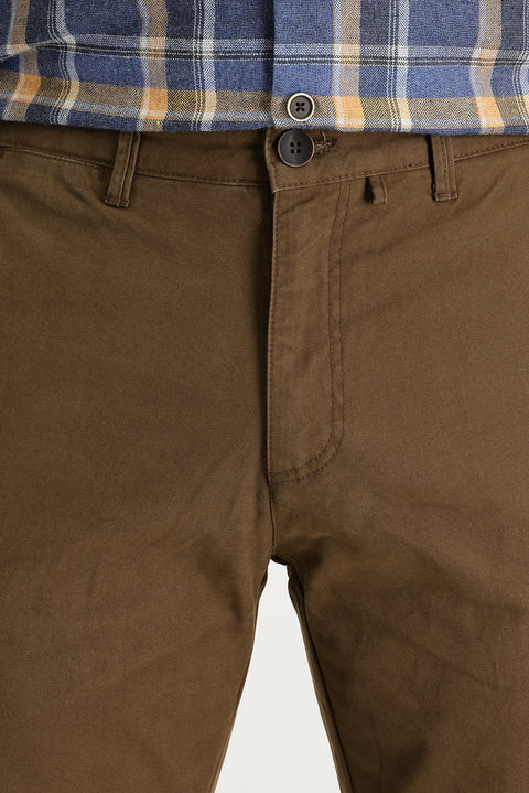 Earthen Regular Fit Standard Cut Cotton Canvas / Chino Trousers