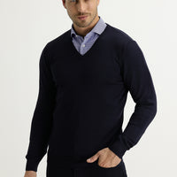 Dark Navy V-Neck Regular Fit Knitted Sweater