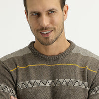 Medium Brown Crew Neck Regular Fit Wool Knit Sweater