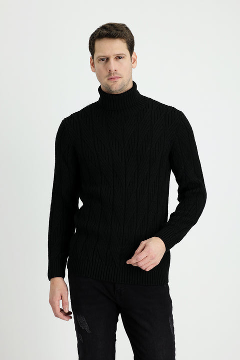 Black Turtleneck Regular Fit Knitted Sweater