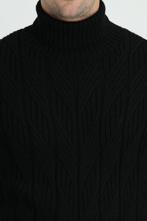 Black Turtleneck Regular Fit Knitted Sweater
