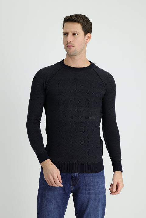 Dark Navy Crew Neck Regular Fit Patterned Knit Sweater