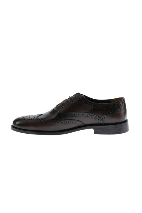Medium Brown Classic Leather Shoes