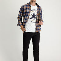 Dark Brown Regular Fit Standard Cut Lycra Canvas / Chino Pants