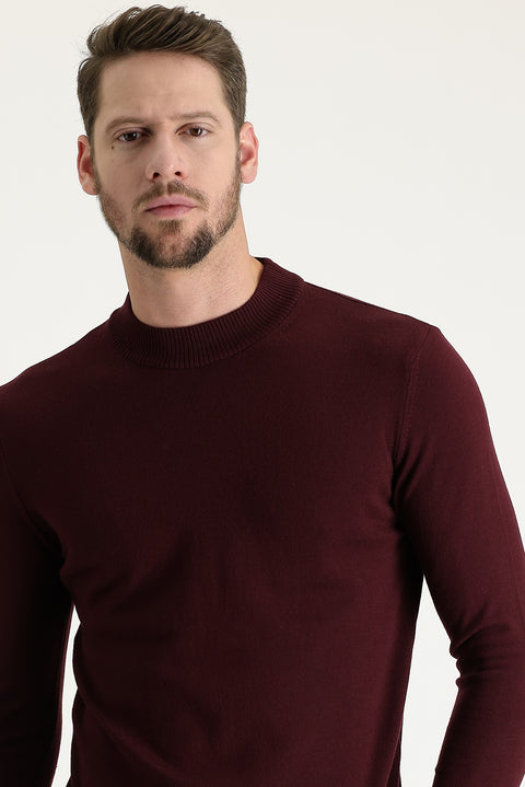Dark Burgundy Half Turtleneck Regular Fit Knitted Sweater