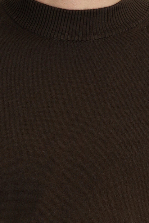 Dark Brown Semi-Turtleneck Regular Fit Knitted Sweater