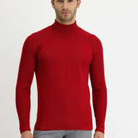Dark Red Turtleneck Slim Fit Narrow Cut Patterned Cotton Knit Sweater