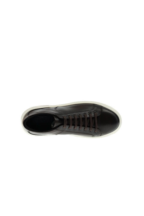 Dark Brown Sneaker Shoes