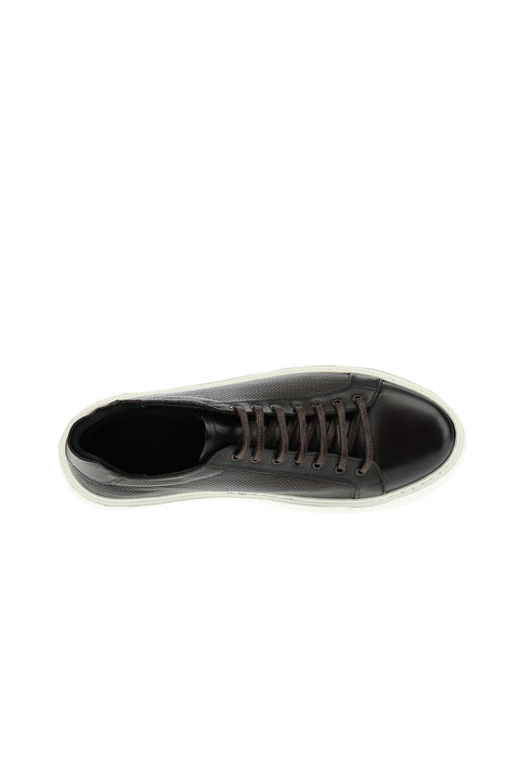 Dark Brown Sneaker Shoes