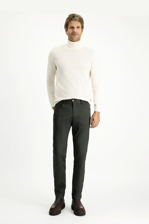 Dark Haki Regular Fit Standard Cut Lycra Canvas / Chino Trousers